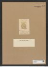 Craspedoporus johnsonianus Grev. (de-Toni-Nr.: Genus 180, Species 4482) Zeichnungen Sammlung Grunow Nr. 8048 (NHMW-BOT-W0377358)